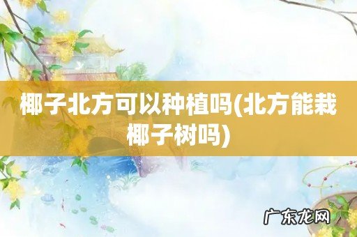 北方能栽椰子树吗 椰子北方可以种植吗