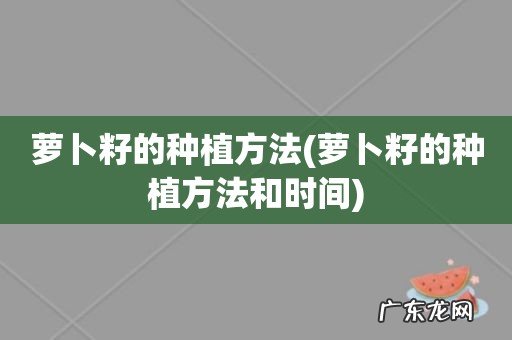 萝卜籽的种植方法和时间 萝卜籽的种植方法