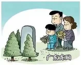 云路镇宝山公墓园 宝山区有哪些墓园