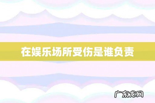 在娱乐场所受伤是谁负责