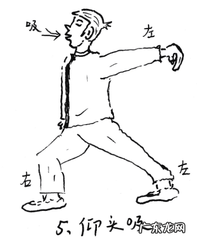 九星所属阴阳吉凶 九星风水的运用方法