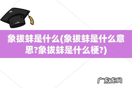 象拔蚌是什么意思?象拔蚌是什么梗? 象拔蚌是什么