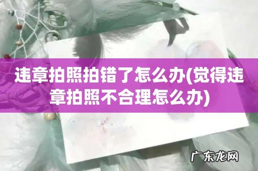 觉得违章拍照不合理怎么办 违章拍照拍错了怎么办