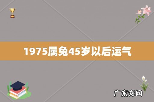 1975属兔45岁以后运气