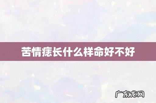 苦情痣长什么样命好不好