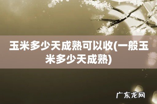 一般玉米多少天成熟 玉米多少天成熟可以收