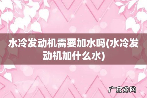 水冷发动机加什么水 水冷发动机需要加水吗