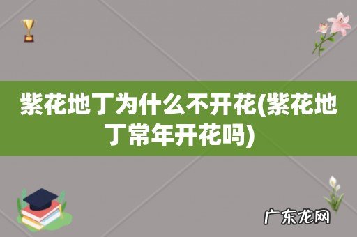 紫花地丁常年开花吗 紫花地丁为什么不开花