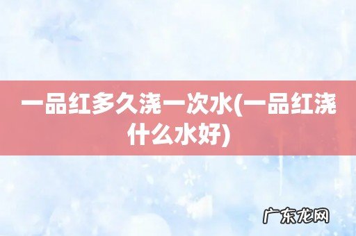 一品红浇什么水好 一品红多久浇一次水