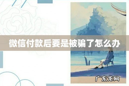 微信付款后要是被骗了怎么办