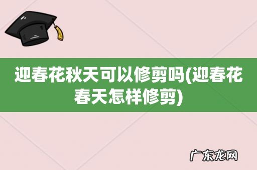 迎春花春天怎样修剪 迎春花秋天可以修剪吗