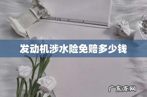 发动机涉水险免赔多少钱