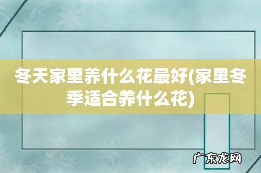 家里冬季适合养什么花 冬天家里养什么花最好