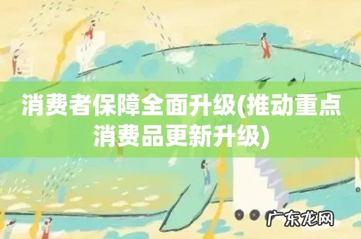 推动重点消费品更新升级 消费者保障全面升级