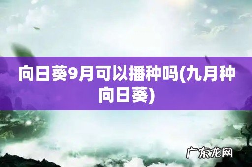 九月种向日葵 向日葵9月可以播种吗