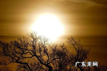 风水磁场学 风水磁场选穴