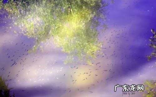 风水磁场学 风水磁场选穴