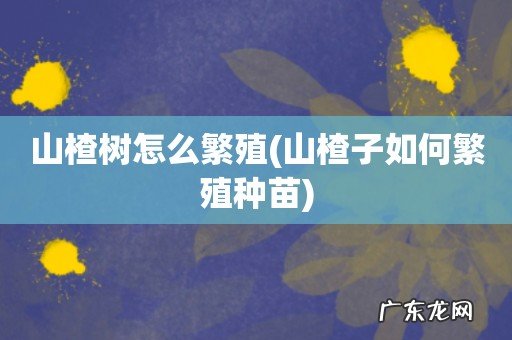 山楂子如何繁殖种苗 山楂树怎么繁殖