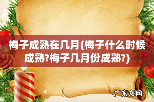 梅子什么时候成熟?梅子几月份成熟? 梅子成熟在几月