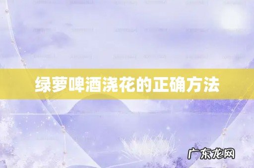 绿萝啤酒浇花的正确方法