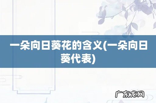 一朵向日葵代表 一朵向日葵花的含义