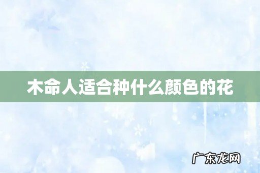 木命人适合种什么颜色的花