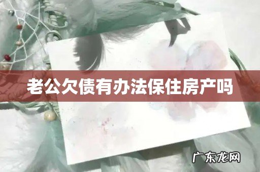 老公欠债有办法保住房产吗