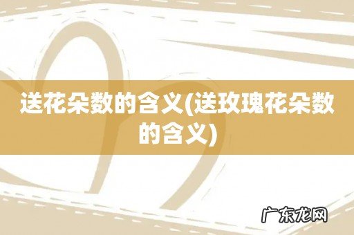 送玫瑰花朵数的含义 送花朵数的含义