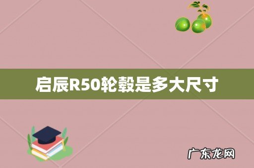 启辰R50轮毂是多大尺寸