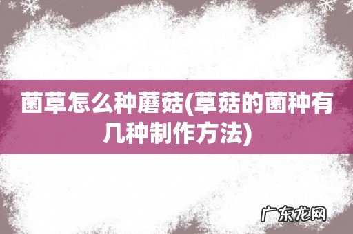 草菇的菌种有几种制作方法 菌草怎么种蘑菇