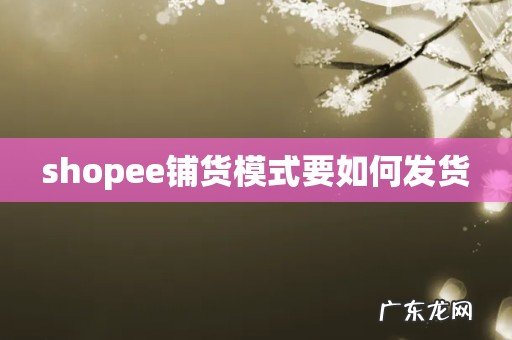 shopee铺货模式要如何发货