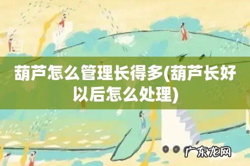 葫芦长好以后怎么处理 葫芦怎么管理长得多