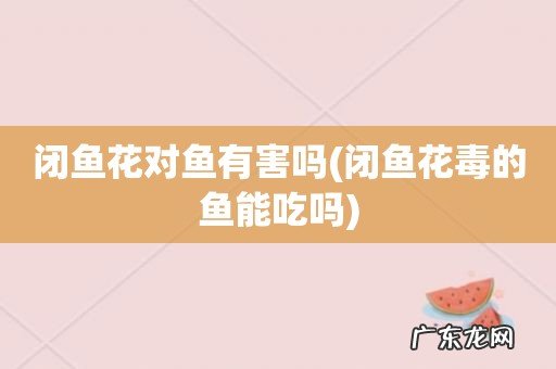闭鱼花毒的鱼能吃吗 闭鱼花对鱼有害吗
