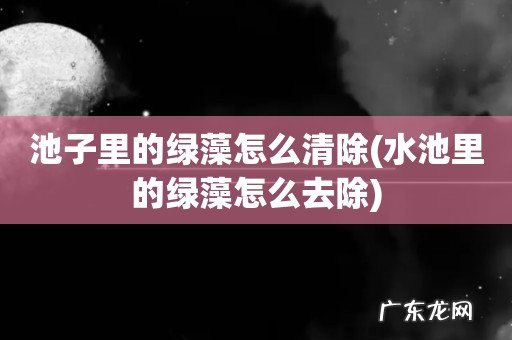 水池里的绿藻怎么去除 池子里的绿藻怎么清除