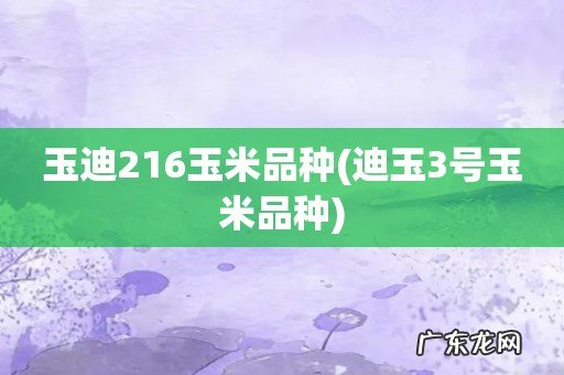 迪玉3号玉米品种 玉迪216玉米品种