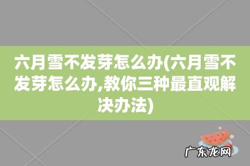 六月雪不发芽怎么办,教你三种最直观解决办法 六月雪不发芽怎么办