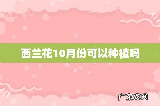 西兰花10月份可以种植吗