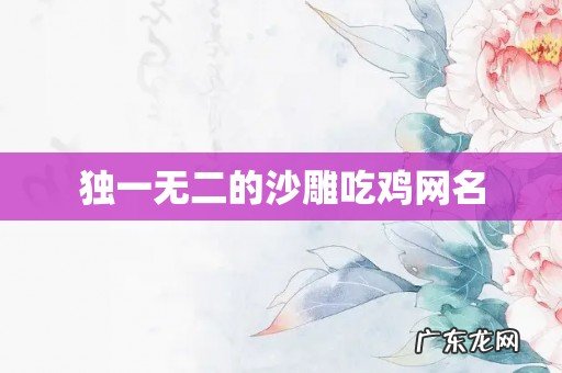 独一无二的沙雕吃鸡网名