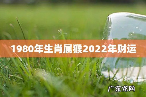 1980年生肖属猴2022年财运