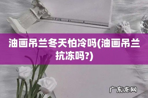 油画吊兰抗冻吗? 油画吊兰冬天怕冷吗