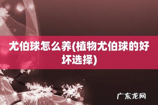 植物尤伯球的好坏选择 尤伯球怎么养