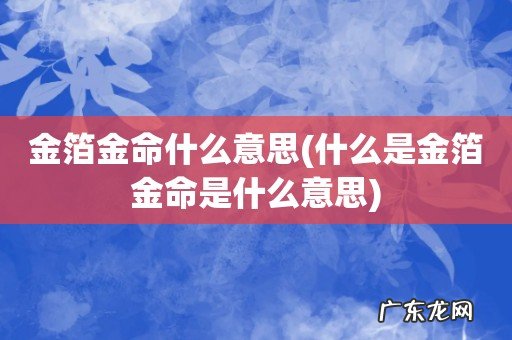 什么是金箔金命是什么意思 金箔金命什么意思
