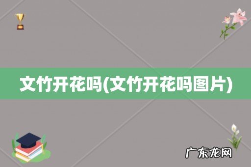 文竹开花吗图片 文竹开花吗