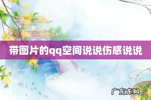 带图片的qq空间说说伤感说说