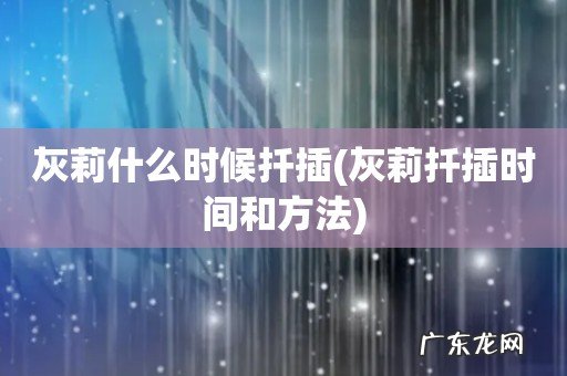 灰莉扦插时间和方法 灰莉什么时候扦插