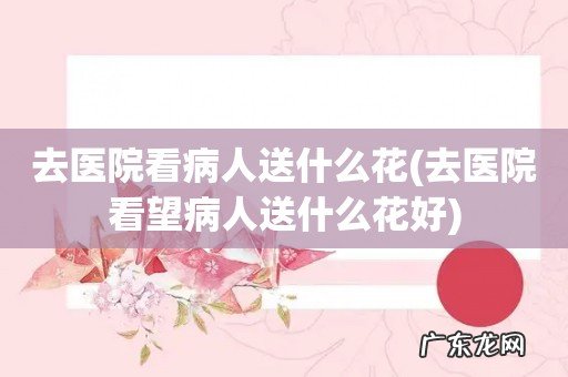 去医院看望病人送什么花好 去医院看病人送什么花