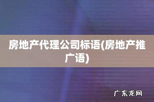 房地产推广语 房地产代理公司标语