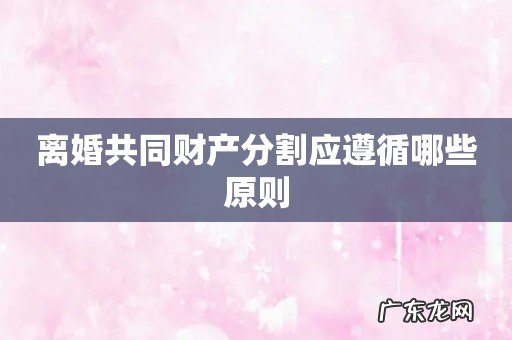 离婚共同财产分割应遵循哪些原则