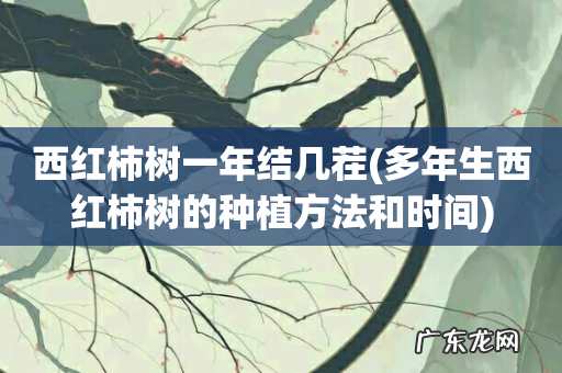 多年生西红柿树的种植方法和时间 西红柿树一年结几茬