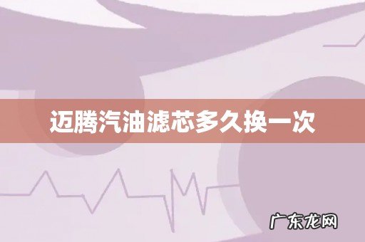 迈腾汽油滤芯多久换一次